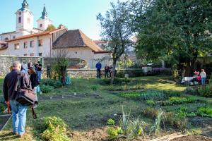 užitni in čutni parki